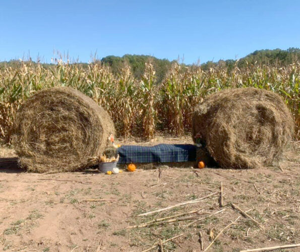 Huttonsville Corn Maze/Pumpkin Patch prepares to open | News, Sports ...